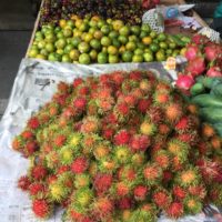 タイの果物