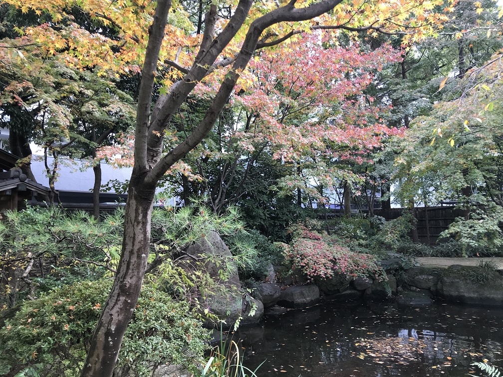 池と紅葉