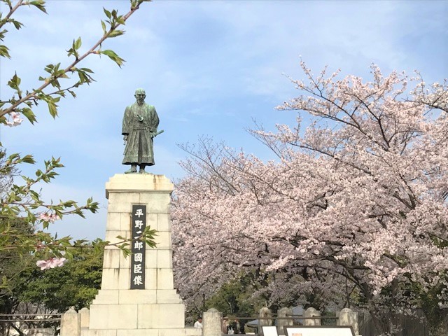 平野二郎像と桜