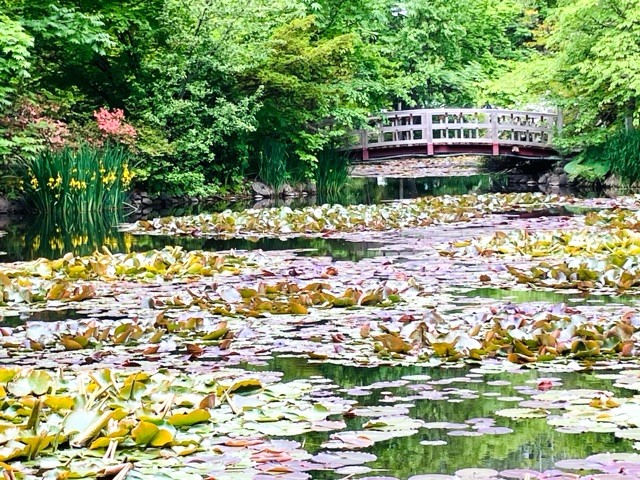 赤れんが前庭の池と橋
